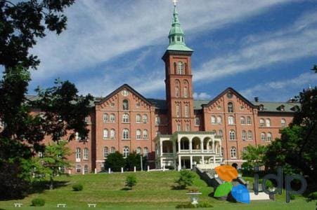 美国常春藤八大名校 哪些专业最受学霸欢迎