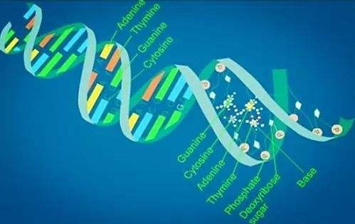 2019软科世界一流学科排名发布 生物专业第一名花落谁家?