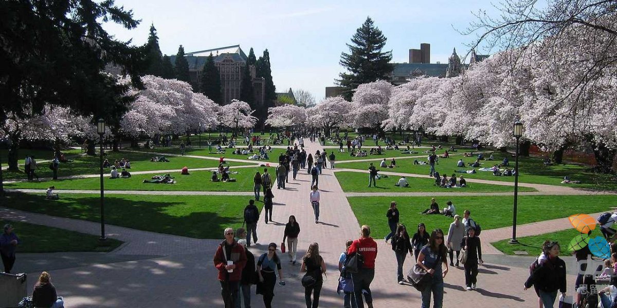 华盛顿大学校园环境设施介绍