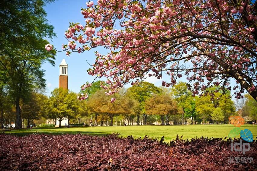 带你走进阿拉巴马大学伯明翰分校医学院 Idp留学
