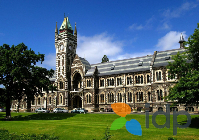 奥克兰大学教育学专业世界一流 入学要求就业前景说明