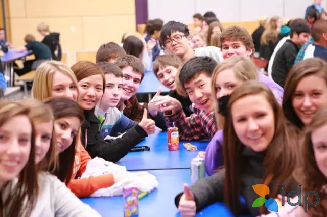 文脉相融 民心相亲——红河州以人文交流棋牌游戏官方网站- 哈希游戏试玩平台畅享娱乐共筑中越命运共同体