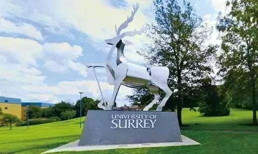 2020年qs萨里大学世界排名第274名较去年下降26个名次