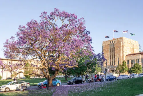 昆士兰大学Gatton校区奖学金 高达15,000澳元异常丰厚