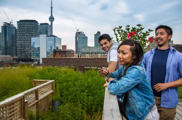 2023年去加拿大留学都有哪些留学中介可供选择呢？看完就清楚了